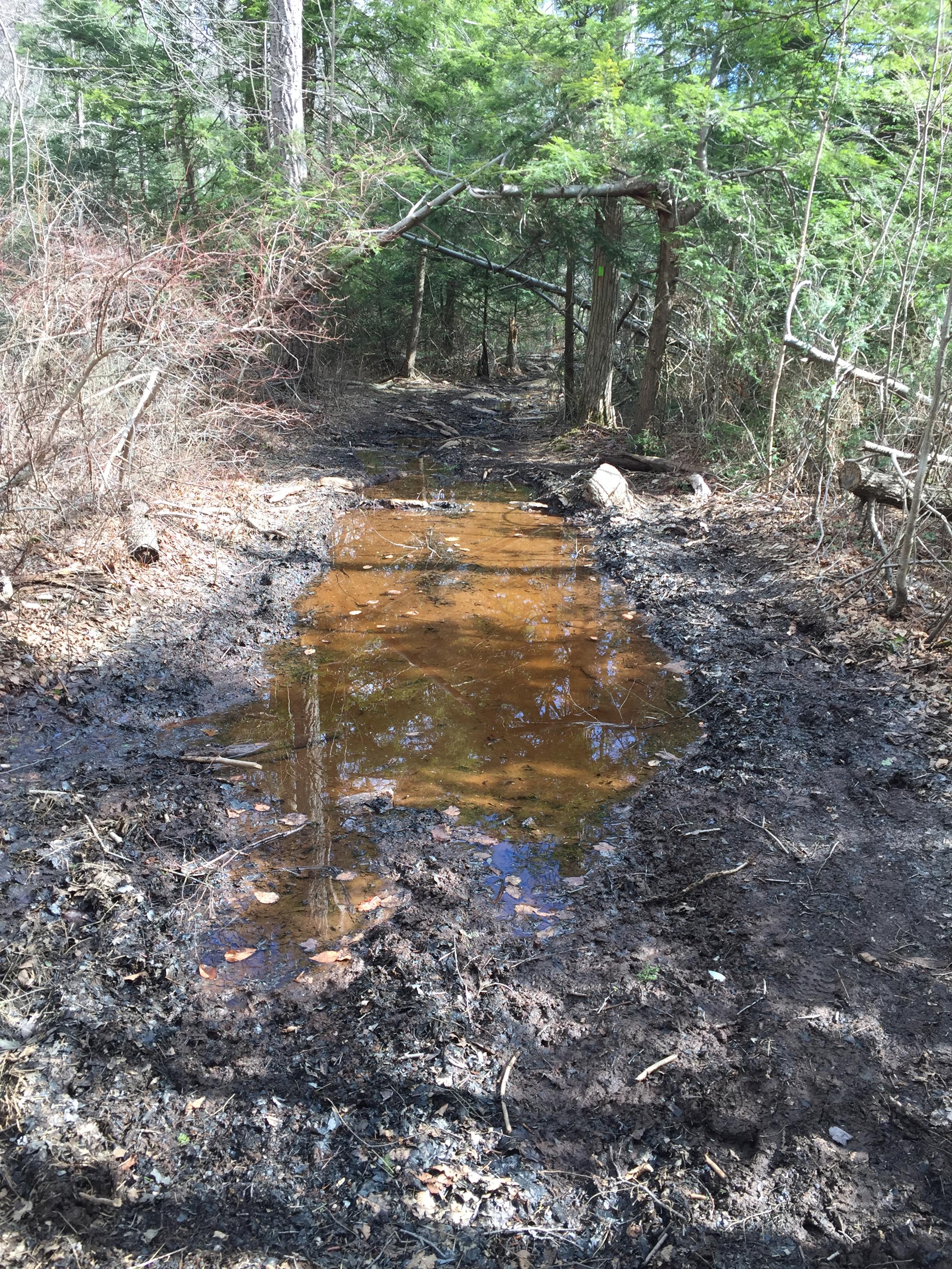 Muddy, damaged trail caused by illegal ORV use.