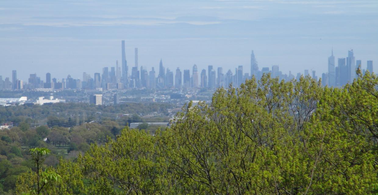 View of the New York City skyline from the Blue Trail - Photo by Daniel Chazin