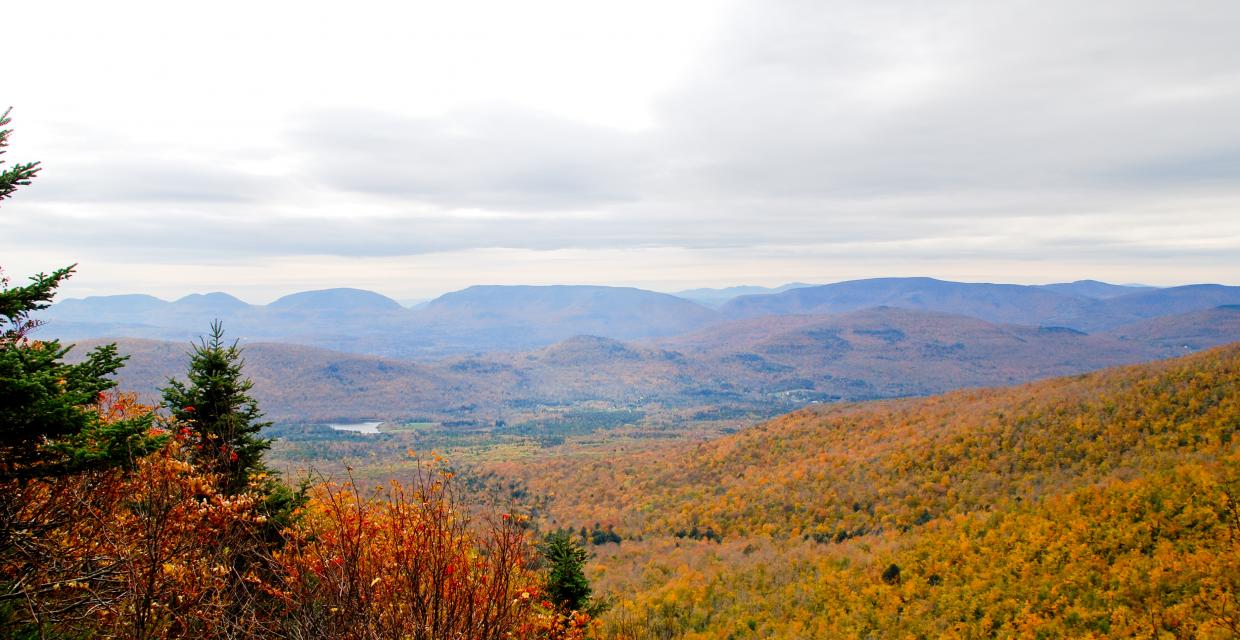 View of the Catskills from Blackhead Mountain - Catskill -- Northeastern - Photo credit: Jeremy Apgar