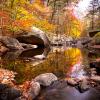 Autumn reflections along the Stony Brook Trail - Photo credit: Susan Magnano