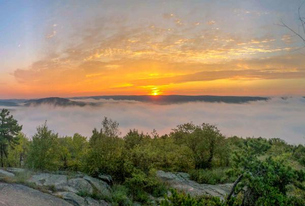 Wyanokie Sunrise at Norvin Green State Forest. Photo by Heather Darley.